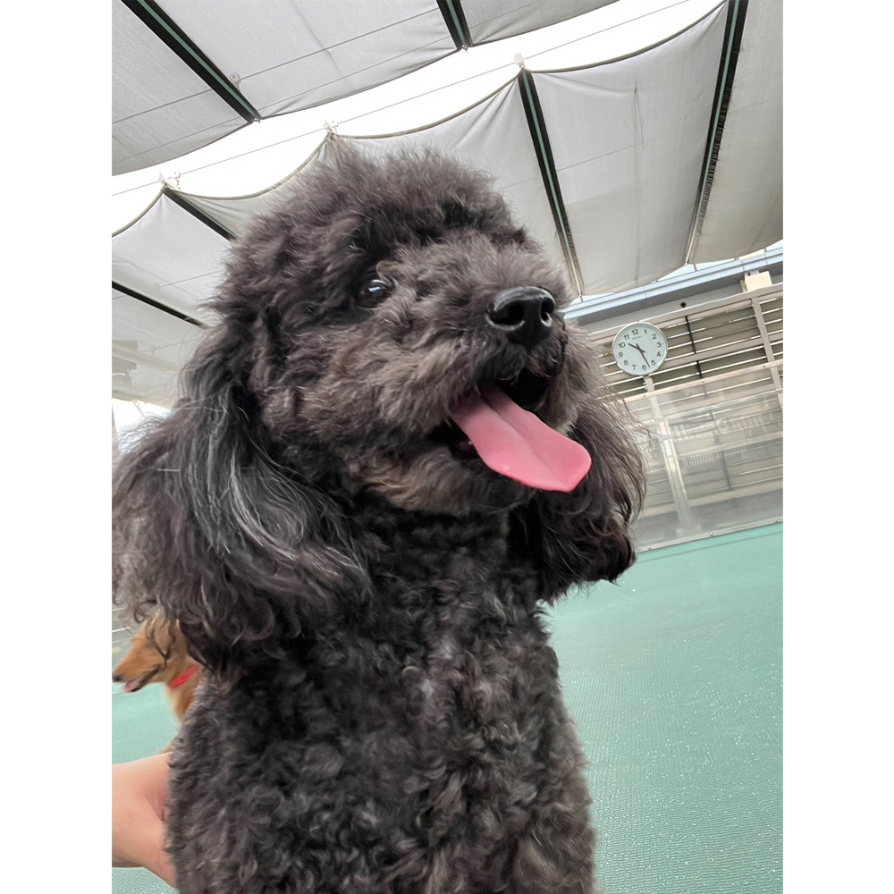 生徒が撮影した写真を送ってくれました！②